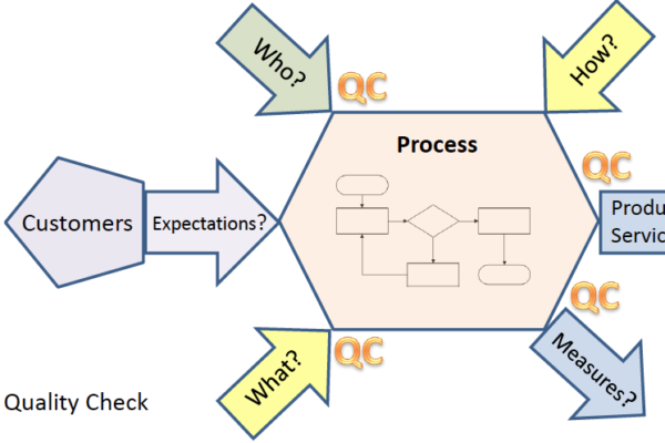 turtle diagram suppliers inputs outputs process customers expectations