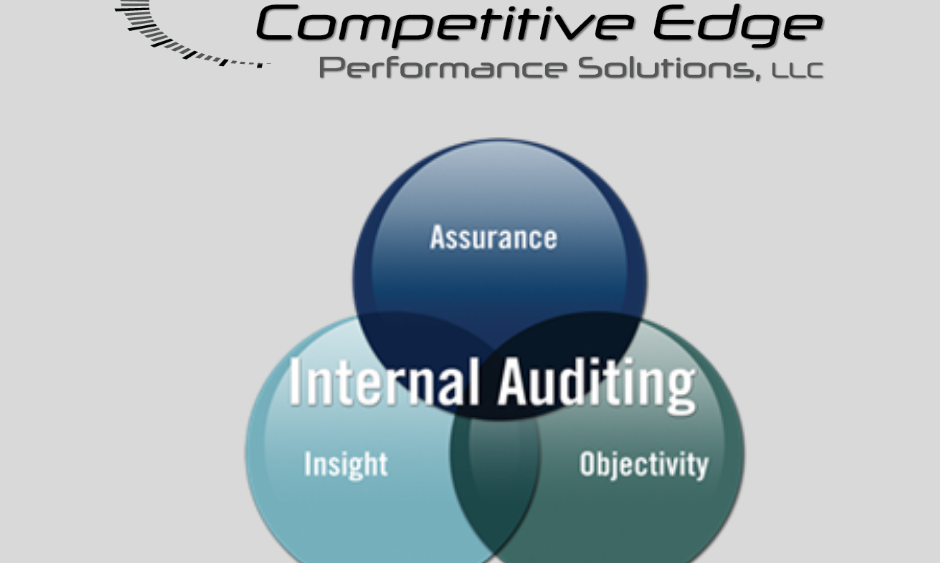 internal auditing competitive edge performance solutions