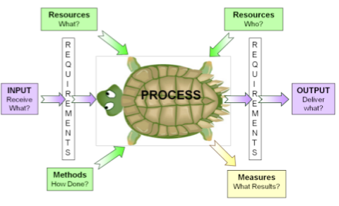 How do you use a Turtle Diagram?